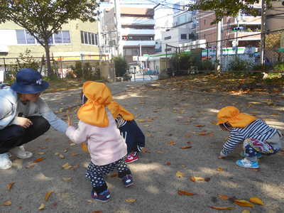  落ち葉あつめたよ🍂
