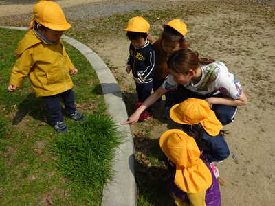  蟻さん見ーつけたっ🐜
