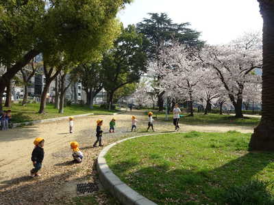  春の南天満公園🌸