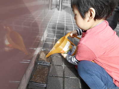  毎日お水をあげています🎶