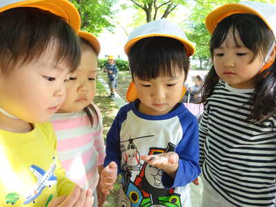  だんご虫見つけたよー！