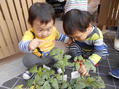  みんな興味津々👀