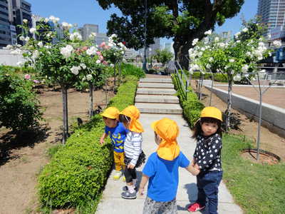  中ノ島バラ公園に行ったよ🌹