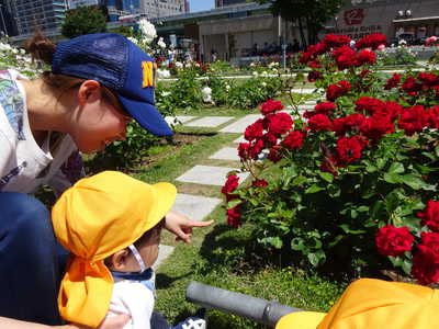  トゲ痛いから気を付けてねー💦