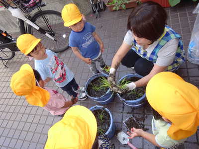  上手に出来ているね◎