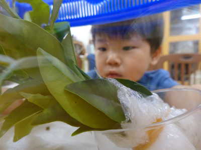  みんな興味津々👀