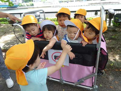  見てみて〜だんご虫だよ♪