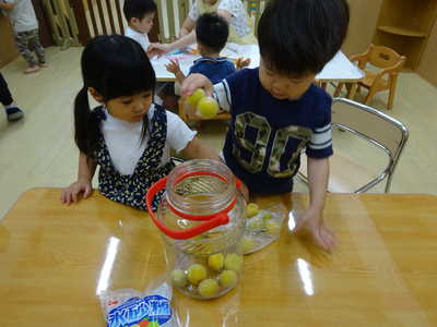  凍らせた梅と氷砂糖を一緒に詰めて