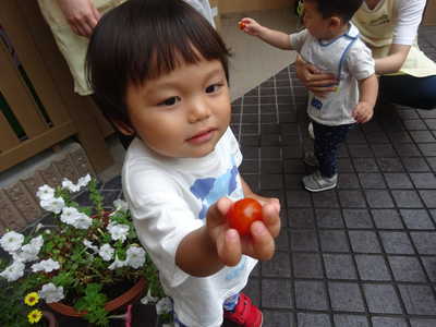  まっかっかー🍅