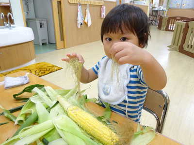  とうもろこしの皮むき🌽