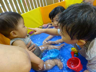  赤ちゃんも水遊びするよ🐤💦