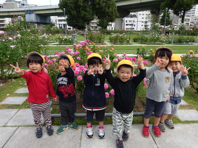  薔薇が咲いてたよ🌹💕