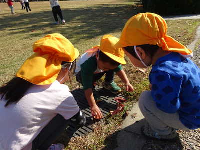  秋を探しに…🍃