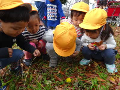 季節外れのたんぽぽ発見‼👓