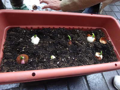  大きくなあれ♪