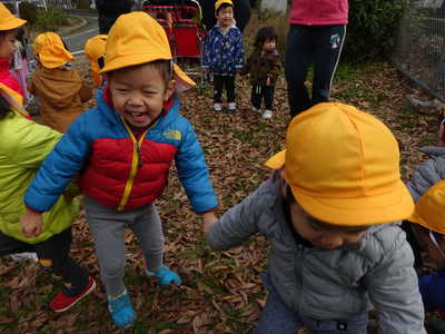  葉っぱいっぱーーい‼