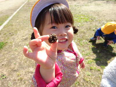  まつぼっくりみーつけ‼💕