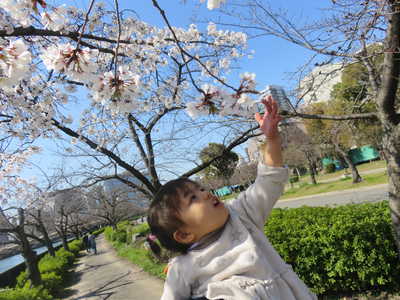  桜咲いてたよ🌸