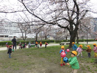  桜の下で遊んだよ🌸