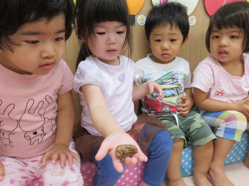 セミのお洋服♪おもしろいね✨